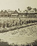 1943